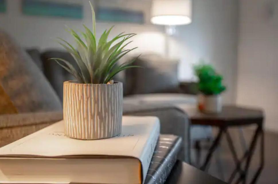 Modern Westshore Apartment Tampa Bagian luar foto